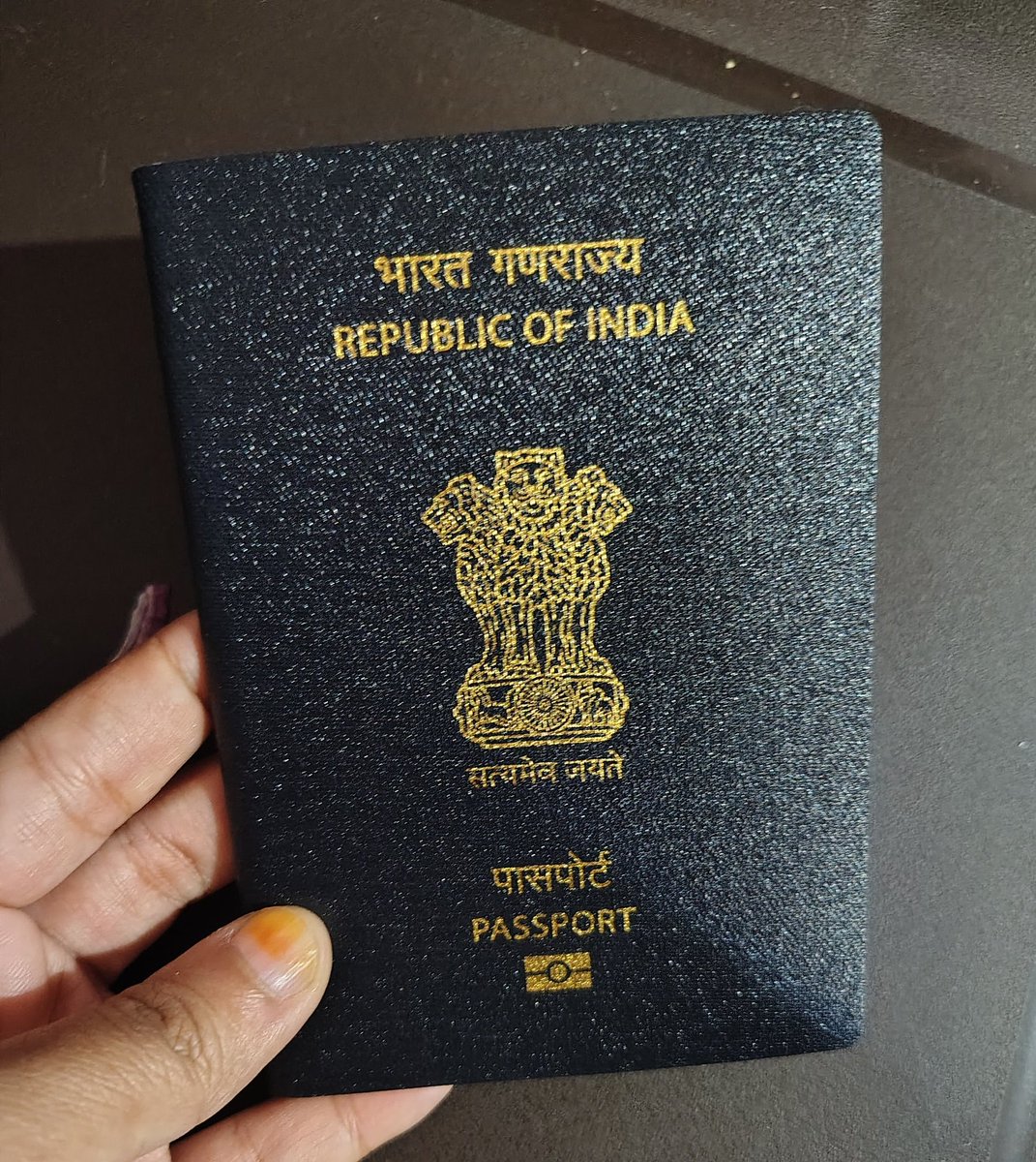 French Fries 🍟 tweet media