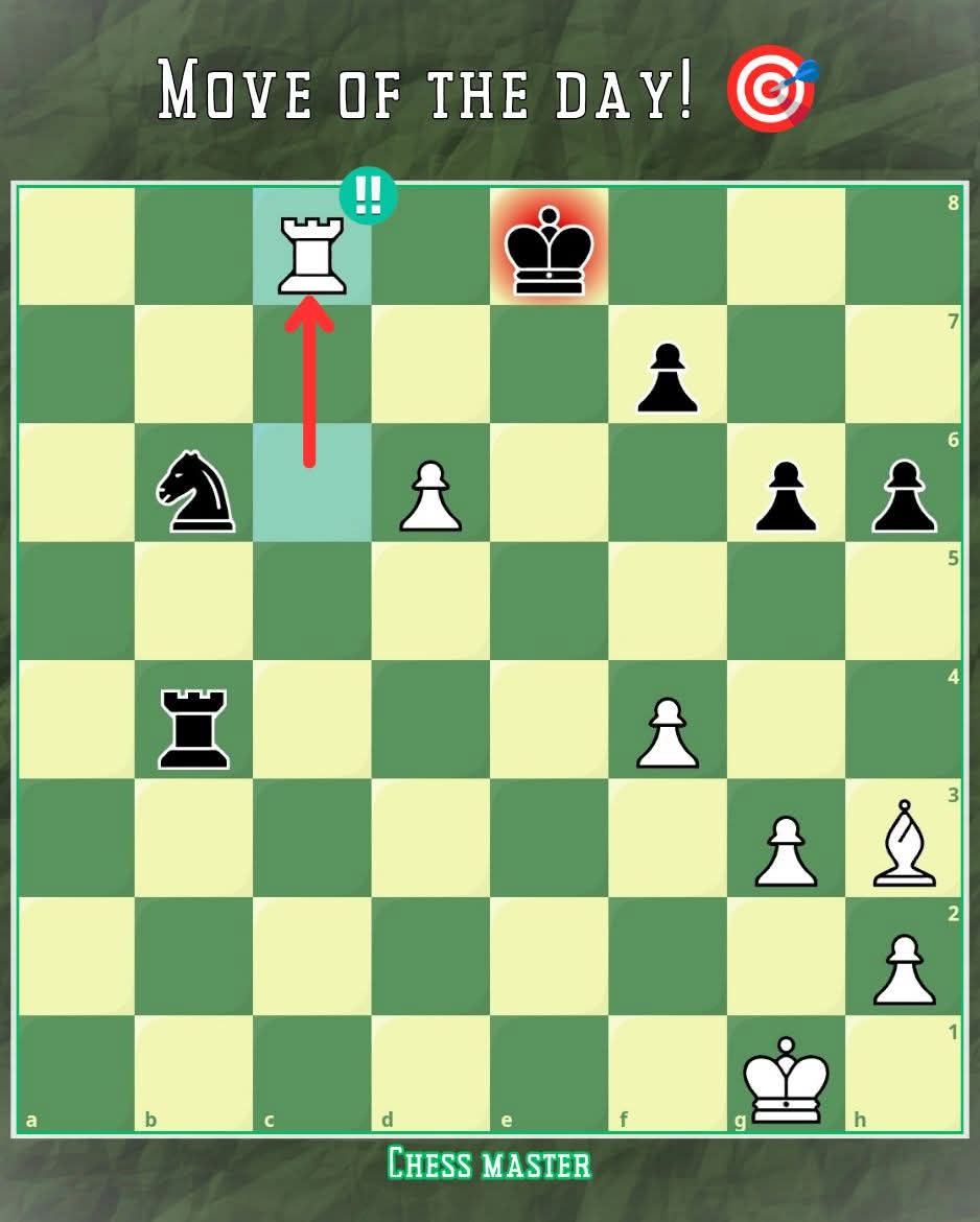 Chess Master tweet media