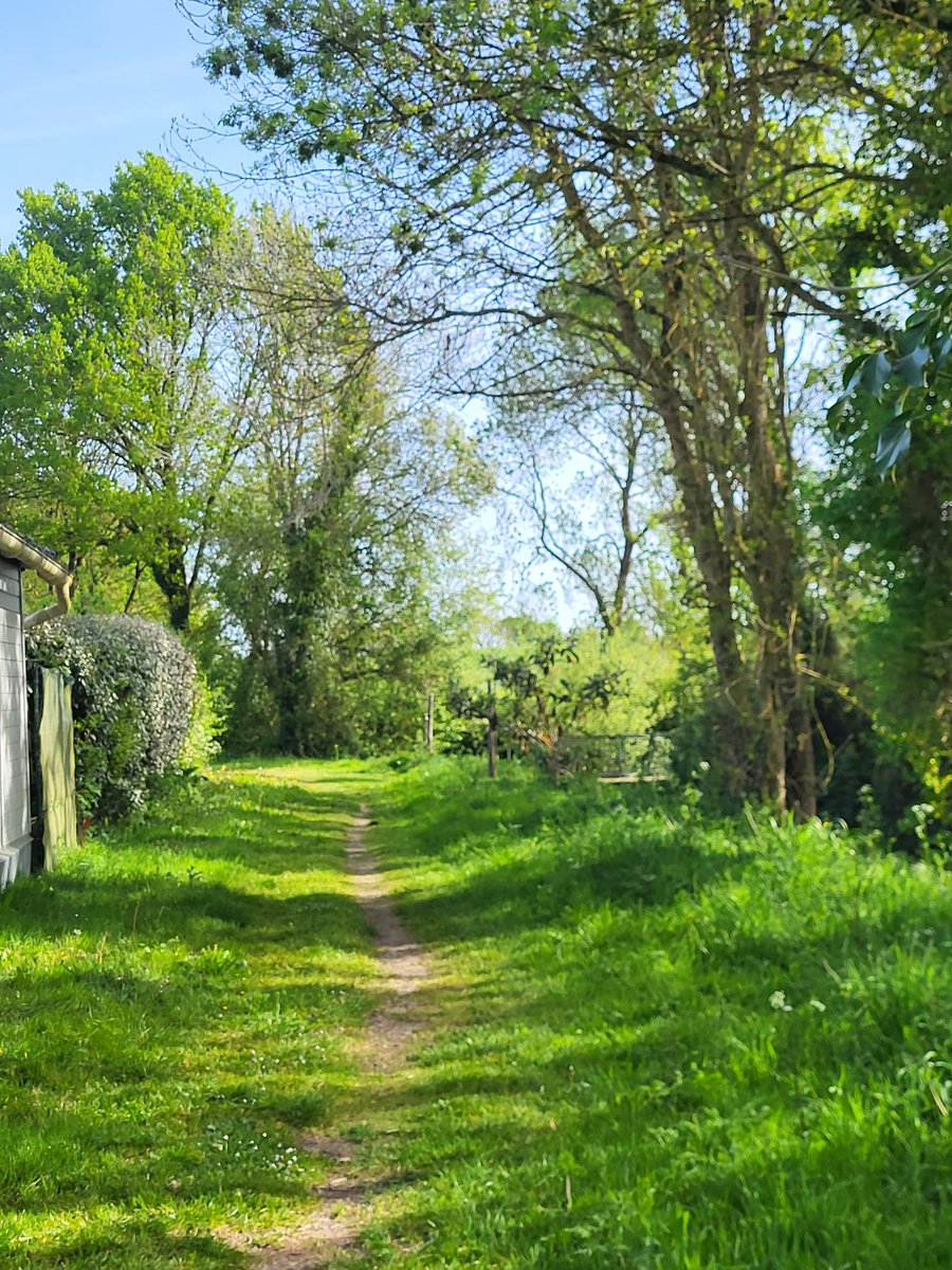 WilliamKissYou🐕💨 tweet media