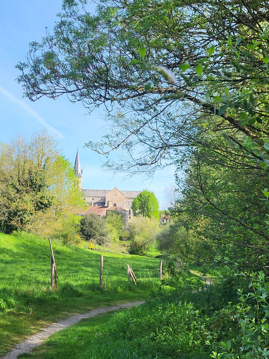 WilliamKissYou🐕💨 tweet media