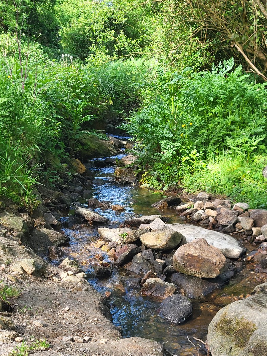 WilliamKissYou🐕💨 tweet media