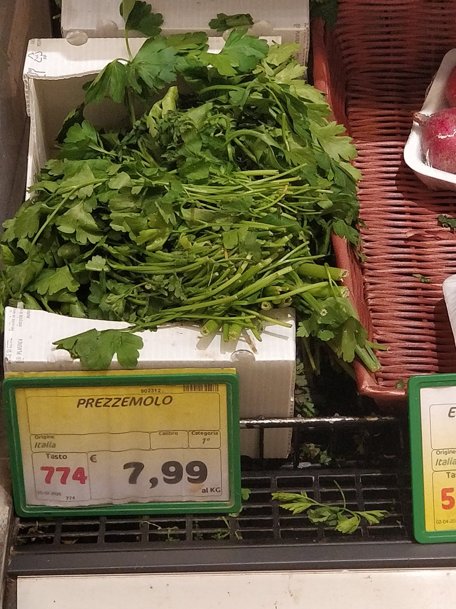 Elpidio Di Napoli tweet media