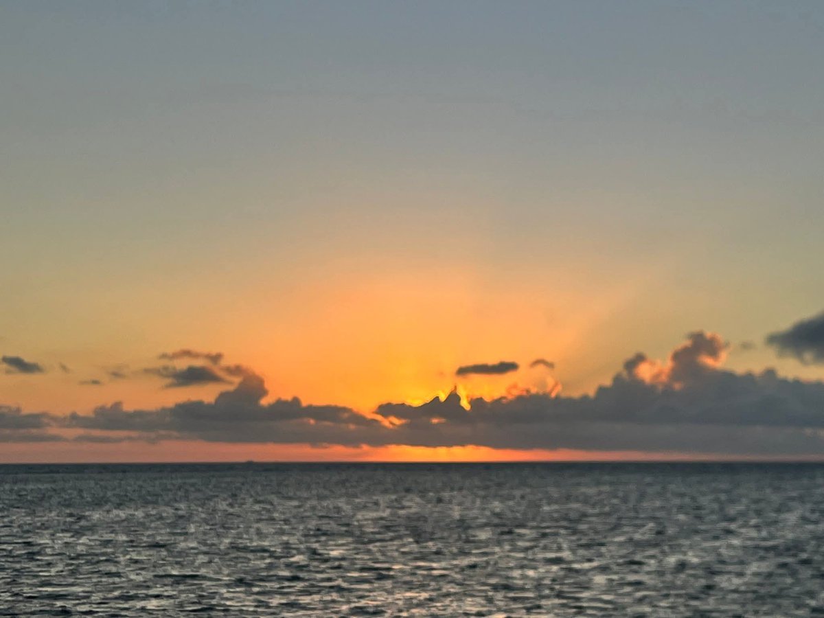 DosEquis tweet media