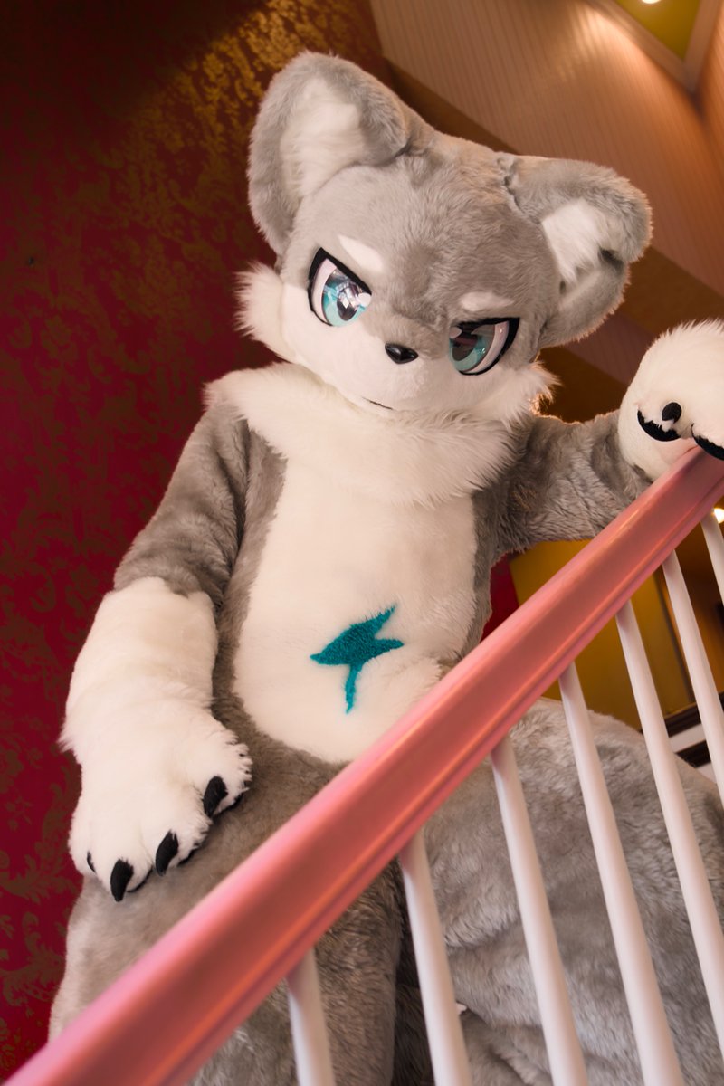 オプト🐾 tweet media