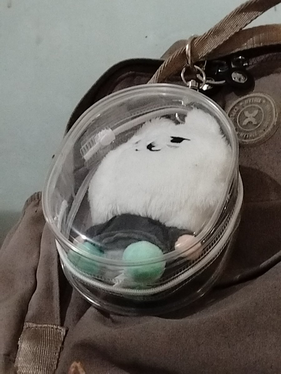 cremechocc's tweet photo. wts ppulbatu yongmeong n aniteez sandeoki 

tags. soobin txt san ateez

#zonabu #zonajajan #zonauang https://t.co/j3TcTNLQPB