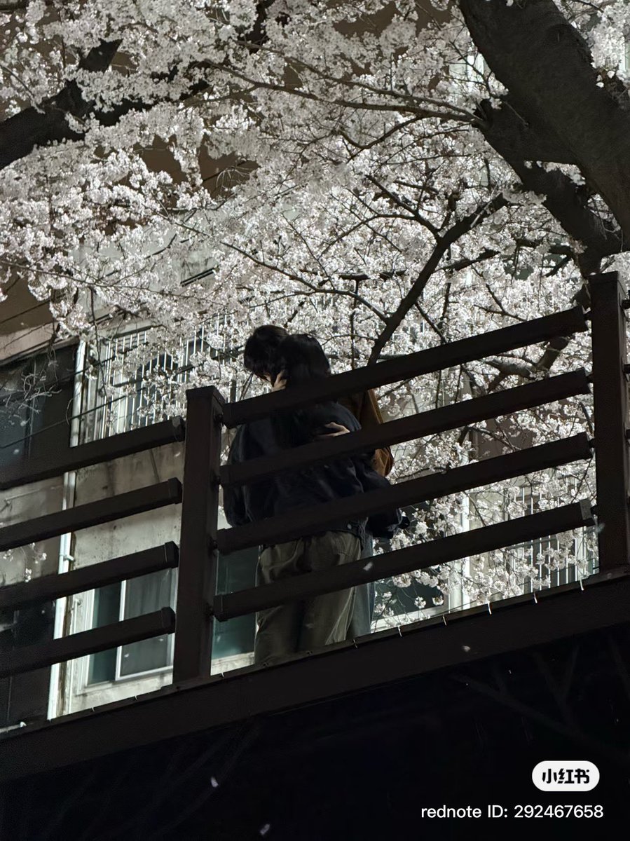 moeunah's tweet image. not them having a whole romantic arc under cherry blossoms