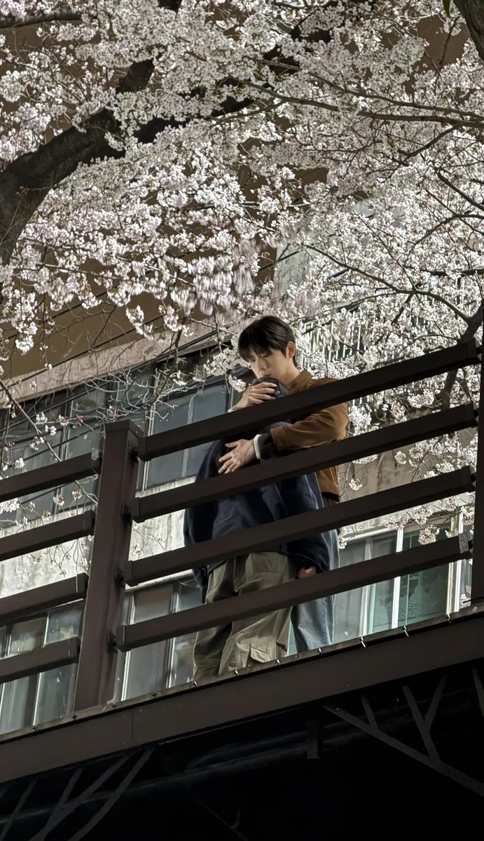 moeunah's tweet image. not them having a whole romantic arc under cherry blossoms