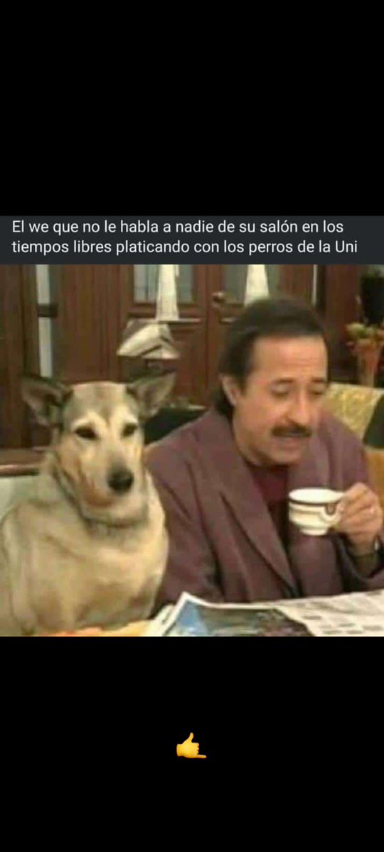 Acrius00🇩🇴 tweet media