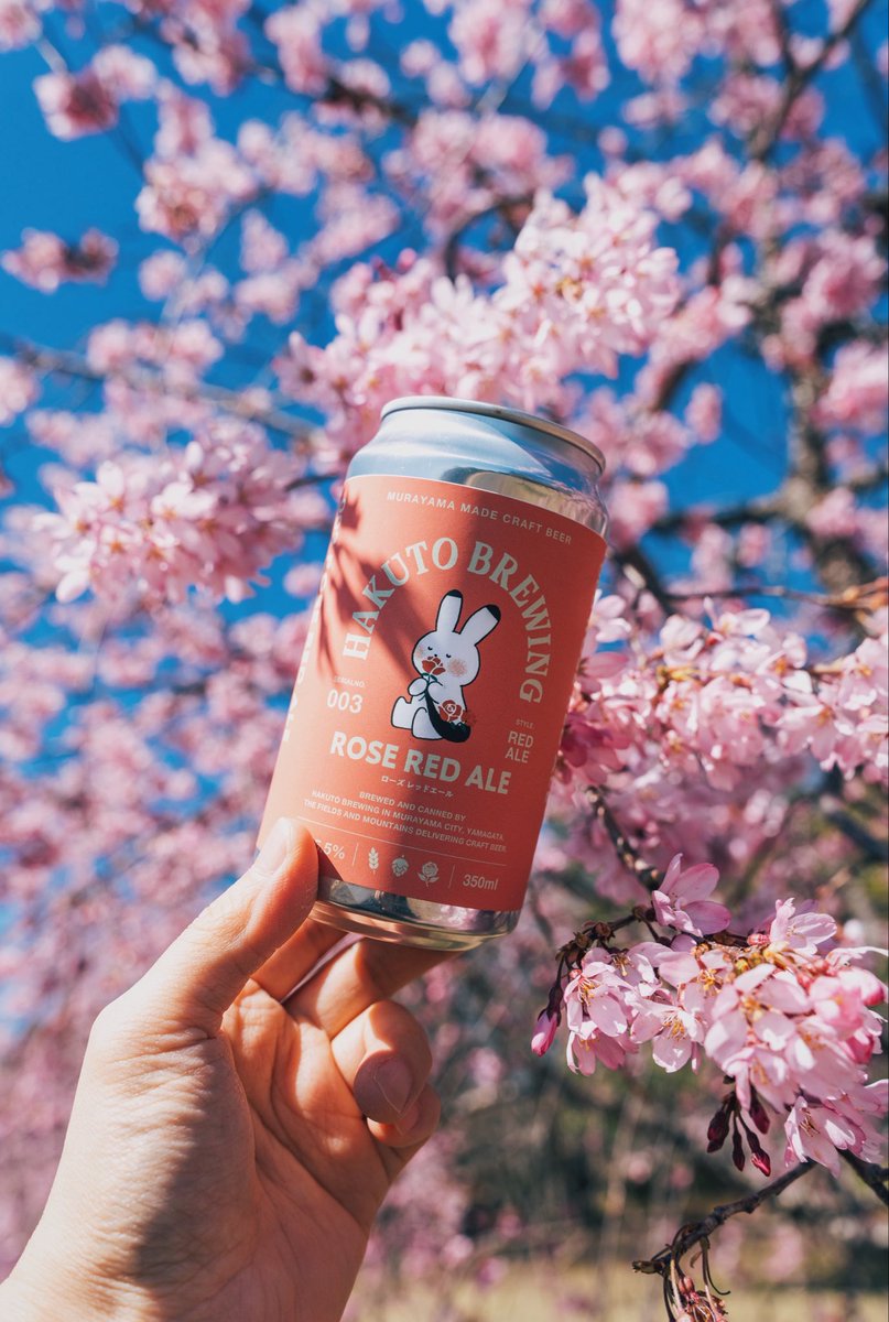 hakuto_brewing's tweet photo. 村山市の桜も見頃を迎えています🌸🐰

明日4月11日(土)は通常営業後、「村山駅西桜まつり」に出店いたします。
【村山駅西桜まつり】村山駅西大沢川沿い 18:30-21:00

夜桜のライトアップを眺めながら、
週末のお花見にもぜひビールで乾杯して春を目一杯楽しみましょう
#クラフトビール #山形 https://t.co/kgc0CxA3g5
