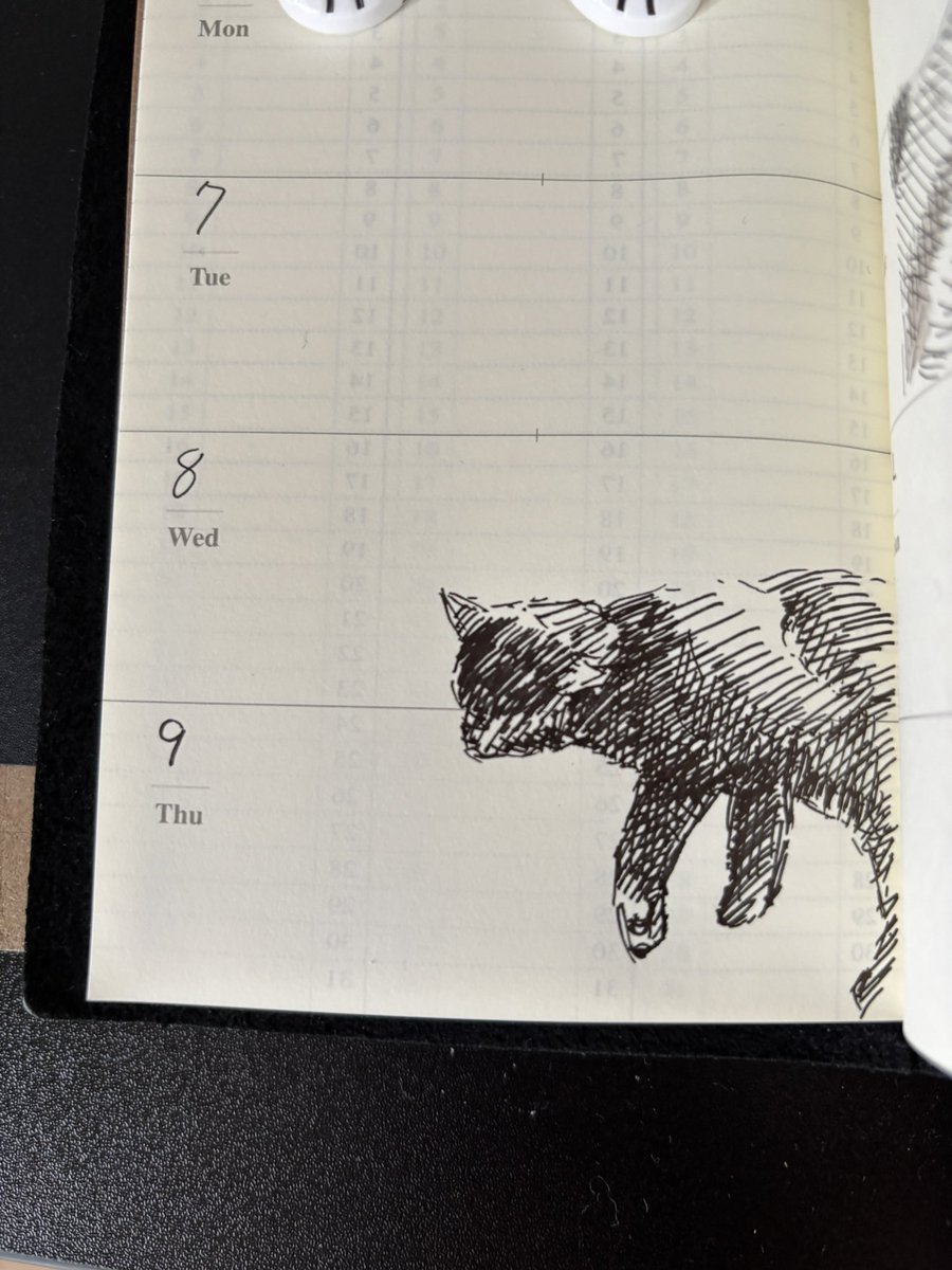 お茶♨️ tweet media