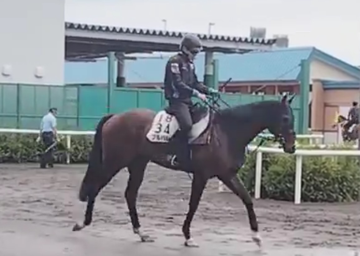 赤塚俊彦/競馬ブック tweet media