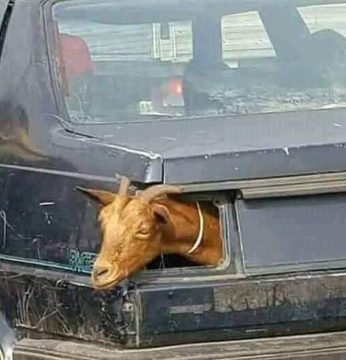 Chris🥀 tweet media