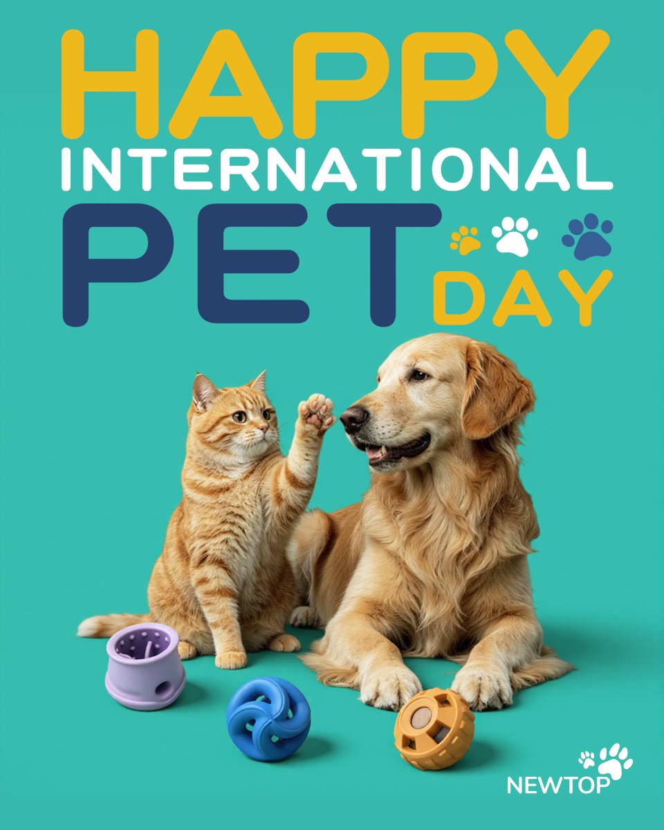 newtopsns's tweet image. What does it really mean to care for pets?It means safer materials, thoughtful design, and products that truly understand the needs of our furry friends🐾💫
At #NEWTOP, we help brands turn these expectations into reality.🐶🐱
#NationalPetDay #PetProducts #SiliconeSolution