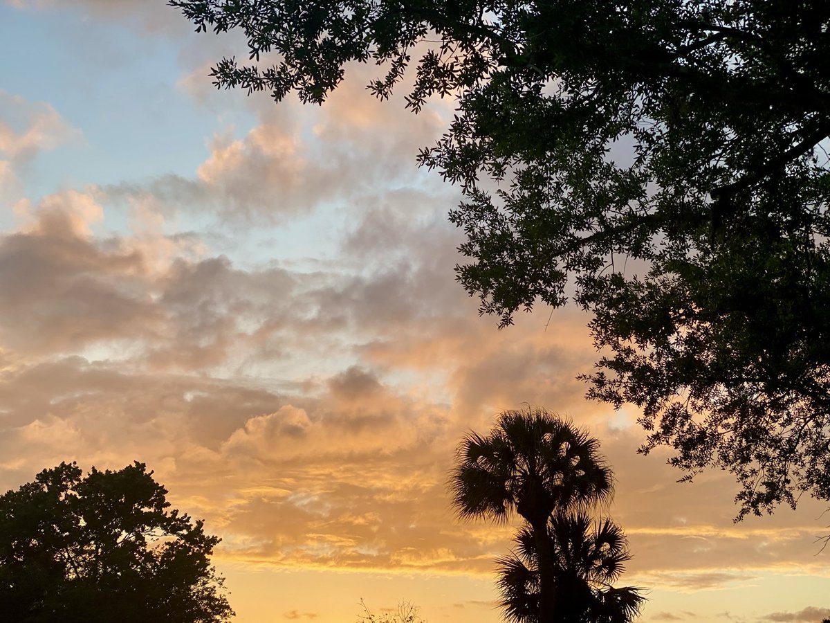 Jean Marie Carey tweet media