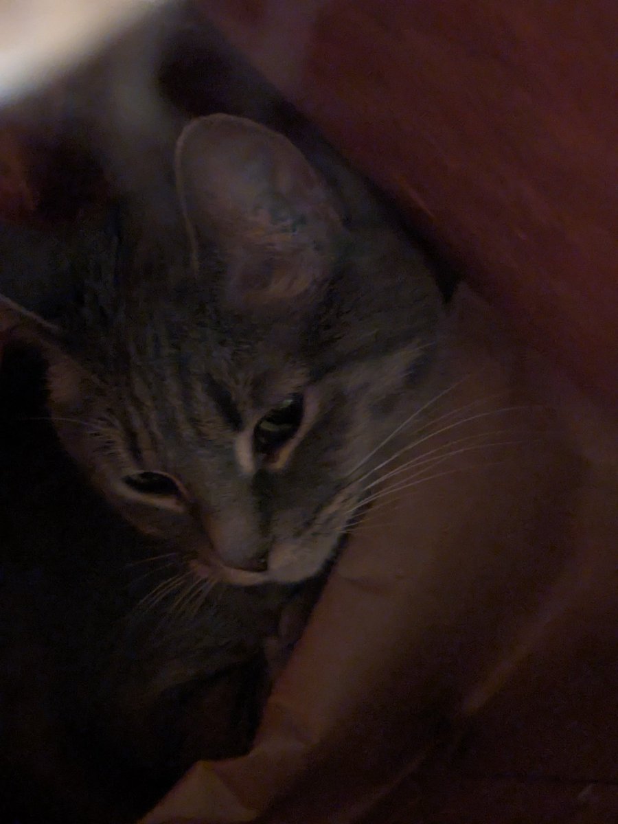 kalex_wonder's tweet image. She's a reason mornings start way too early❣️

#waytoearly