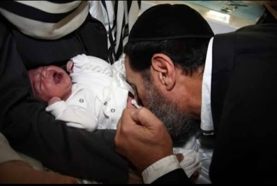 Mannie Quinn & The Dolly Liberation Army tweet media