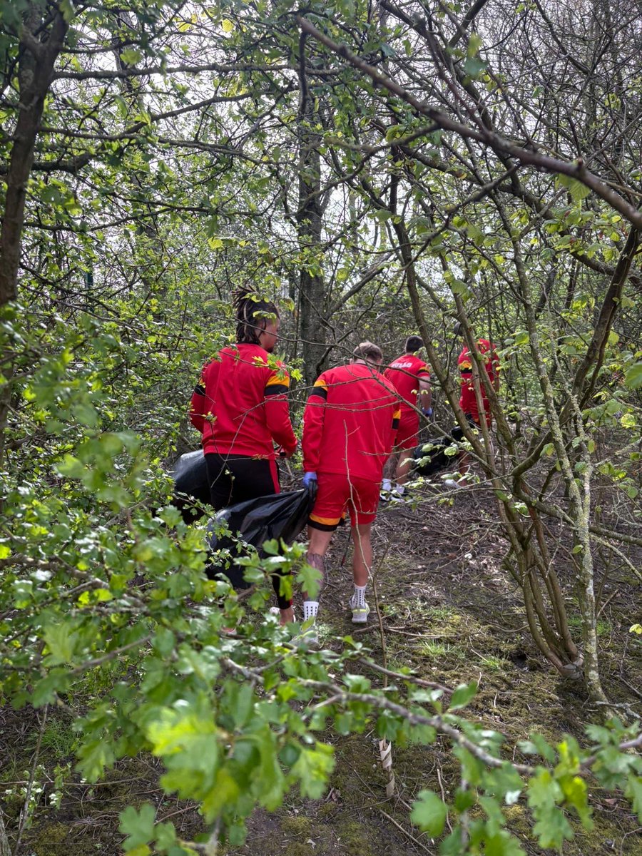 Bradford Bulls tweet media