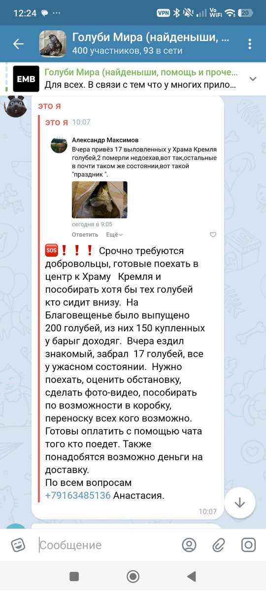 Срочно!
На Благовещенье у храма Кремля выпустили сотни белых голубей, породу. Они не переживут ночь, некоторые уже погибли. Нужны руки, чтобы поймать хоть кого-то, всех голубей примут. Для связи t.me/vsegolubimira, там же телефон.
Готовы оплатить дорогу, доставку голубей.