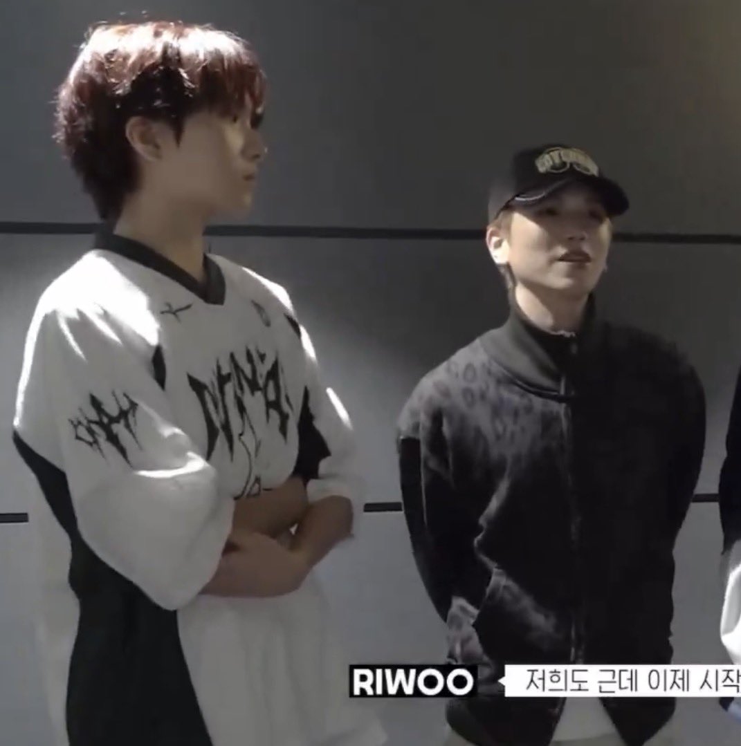 lizzie ☆ !! tweet media