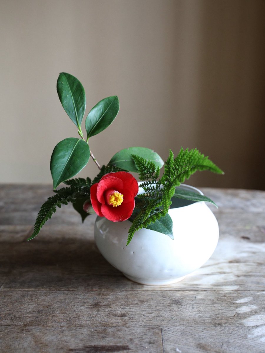 花ならい tweet media