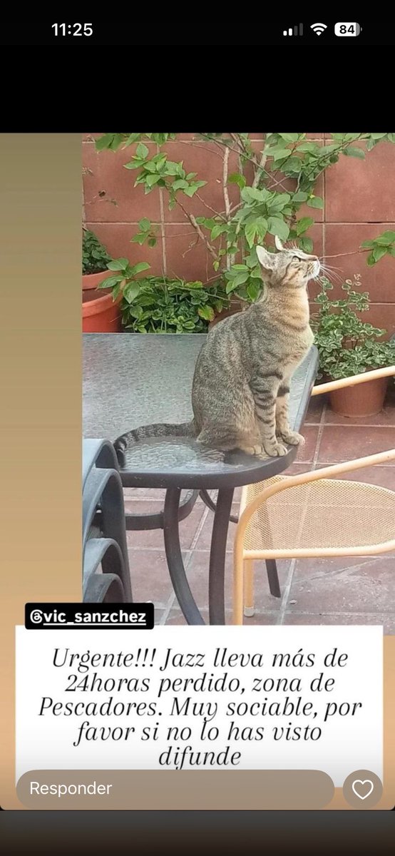 Ǥᗩᔕᑭᗩᔕᕼᗝ tweet media