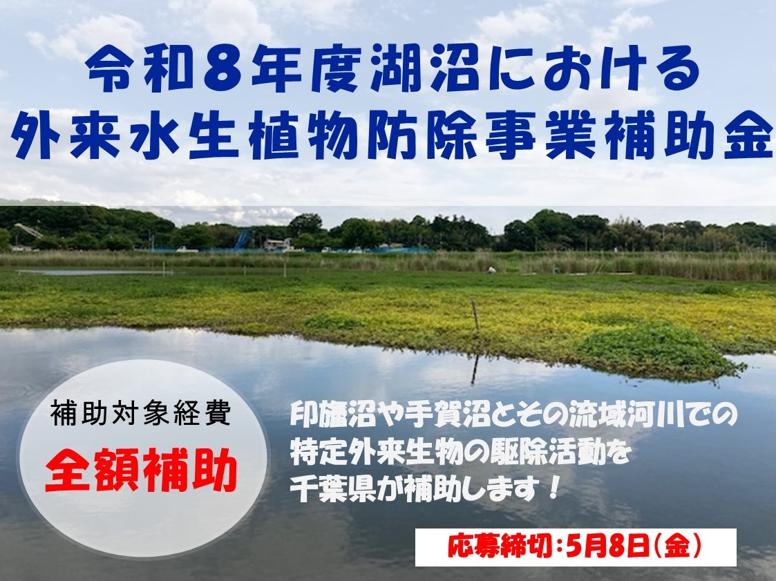 千葉県広報 tweet media