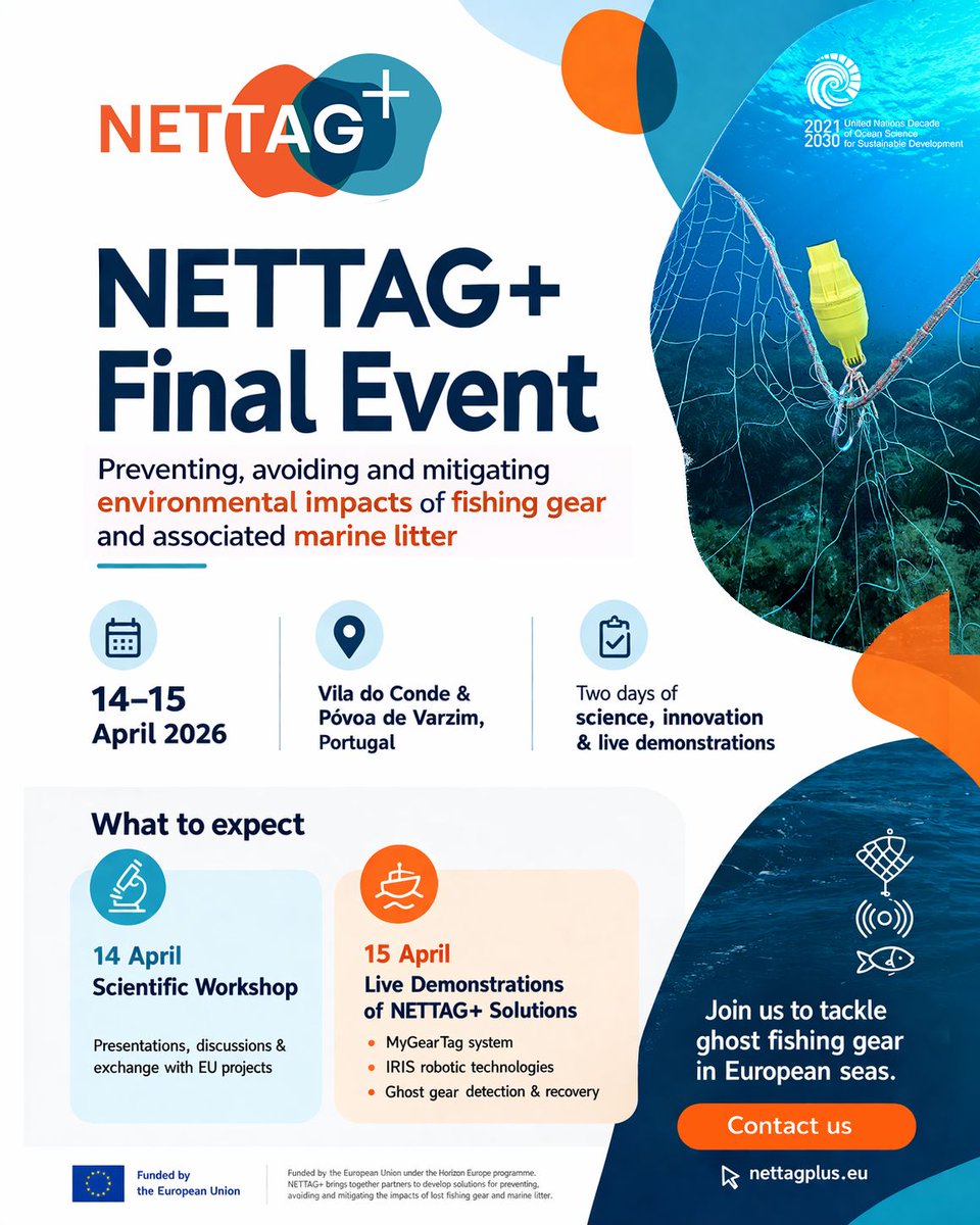 NETTAG+ tweet media