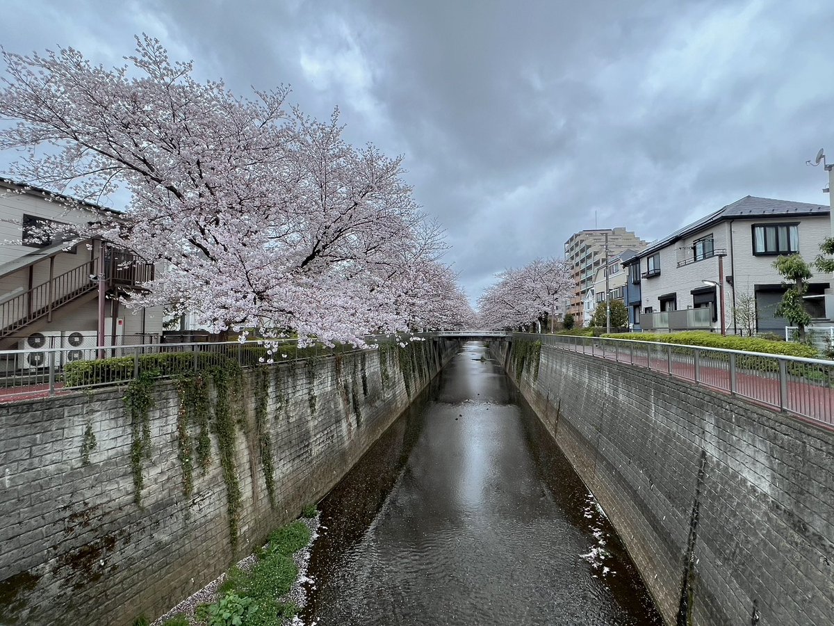 Kenichi ♨ Yumura tweet media