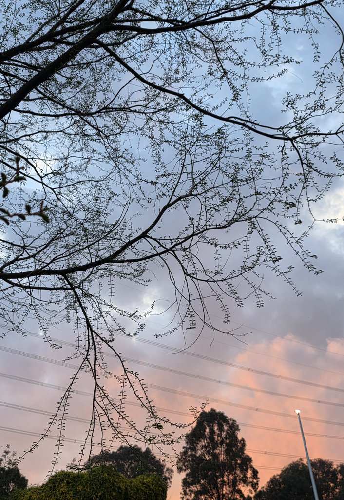 HITOE🍀Y tweet media