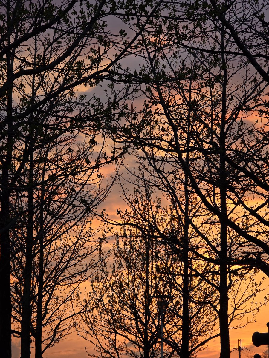 HITOE🍀Y tweet media