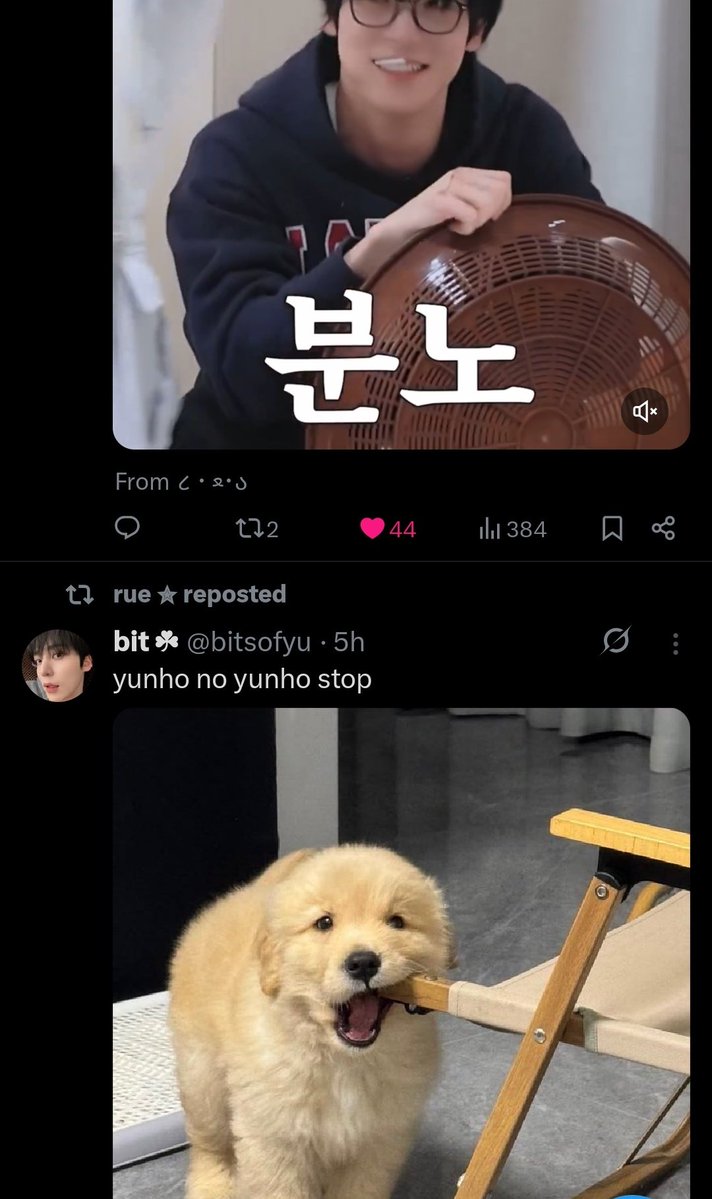 sei 𓃠 tweet media