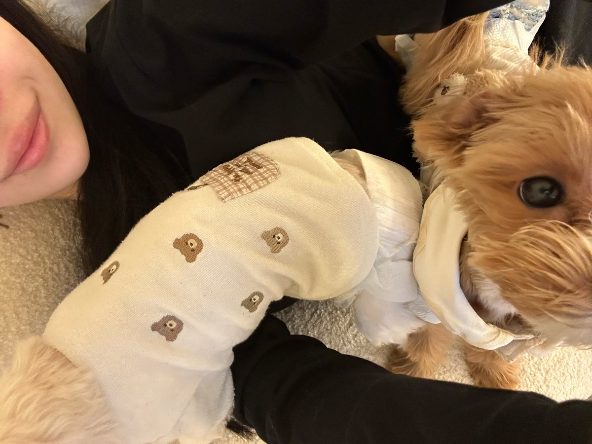 oo1029c's tweet photo. モテ期到来🐶♡ https://t.co/PNpOkCSnQm