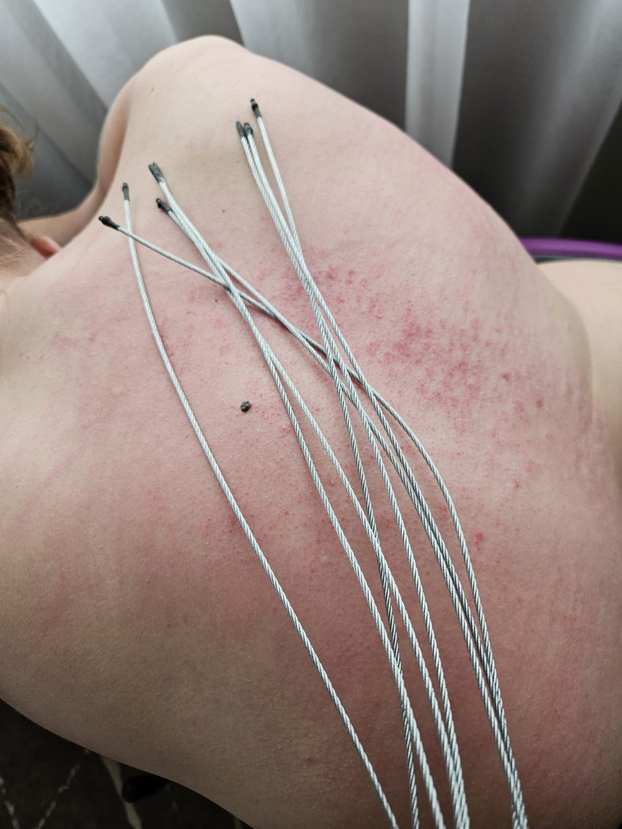 Heerlijk kunnen meppen met dit speeltje.
Deze dame heeft het goed kunnen volhouden!
Meer dan 1000 slagen gehad.
X
#sadisme #stalenspeeltje #whipping #caning #hurtingyou #bdsm #femdom #femdomnl #sadismenl
