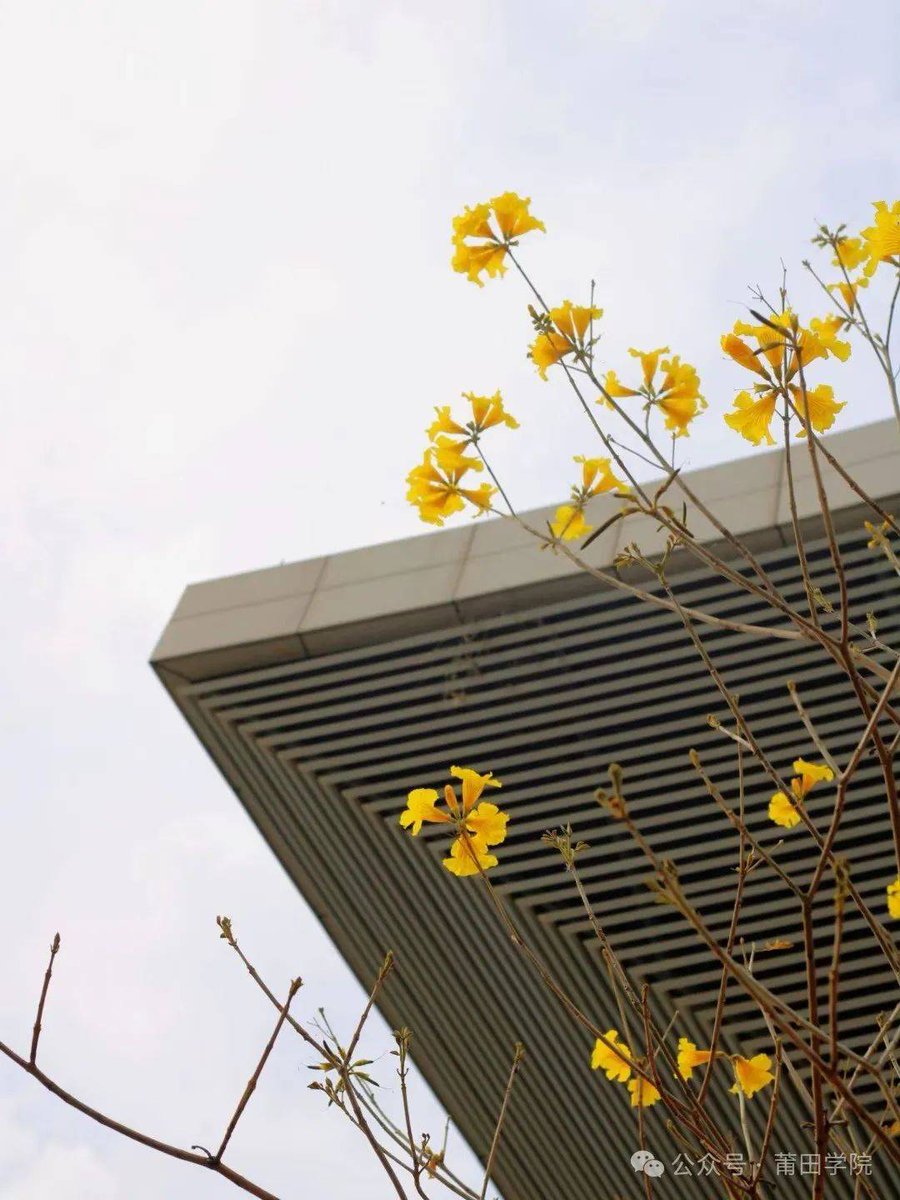 Ben Castle tweet media