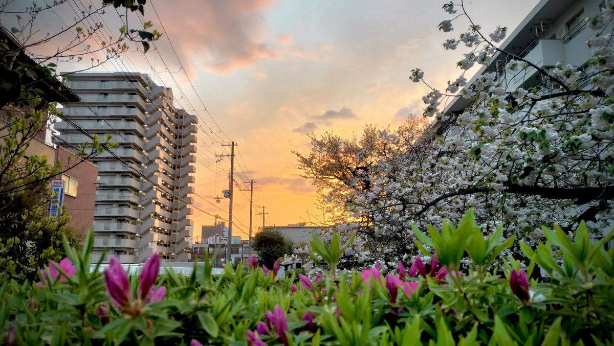 ちまきん🍆🍺🧪 tweet media