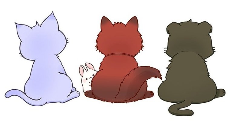 너무너무
너무
너무너무너무 귀여워