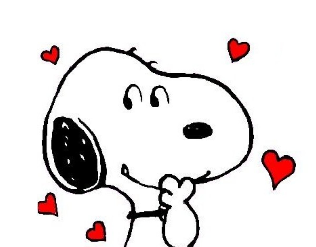 すぬちゃん tweet media