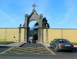 Anhelo de sangre 🆎 tweet media