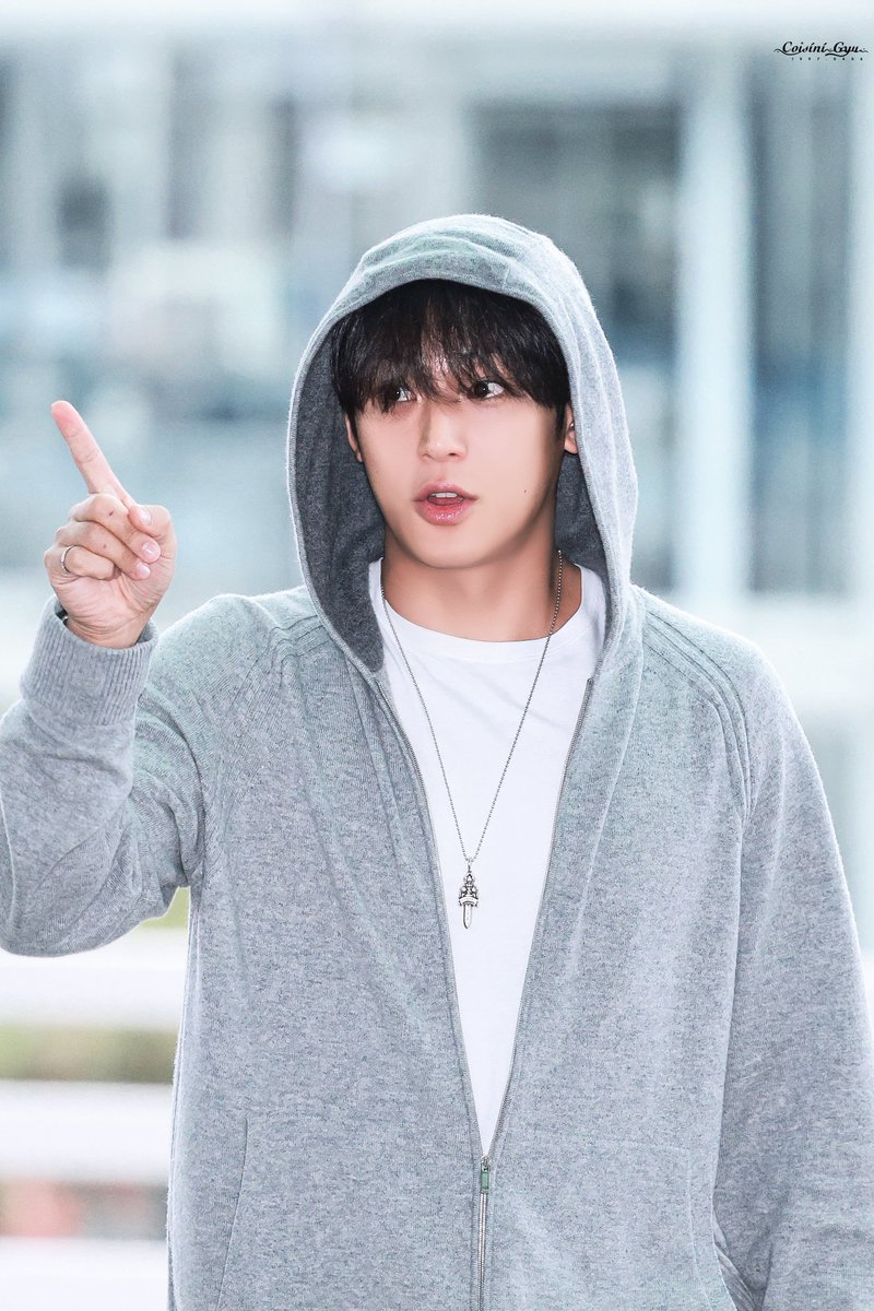 Coisini_Gyu tweet media