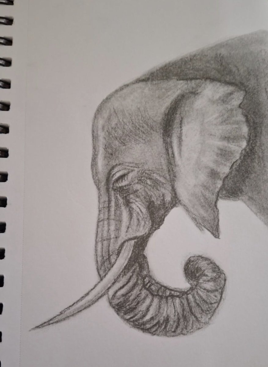 artworld00000's tweet photo. #art #artmoots #sketches  ❤️ 🐘 https://t.co/vm8GJchfLt