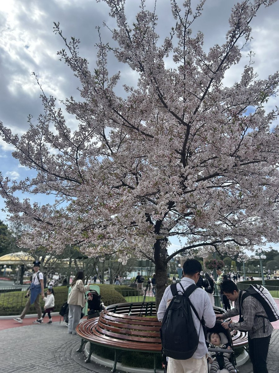 えむ𝓜 tweet media