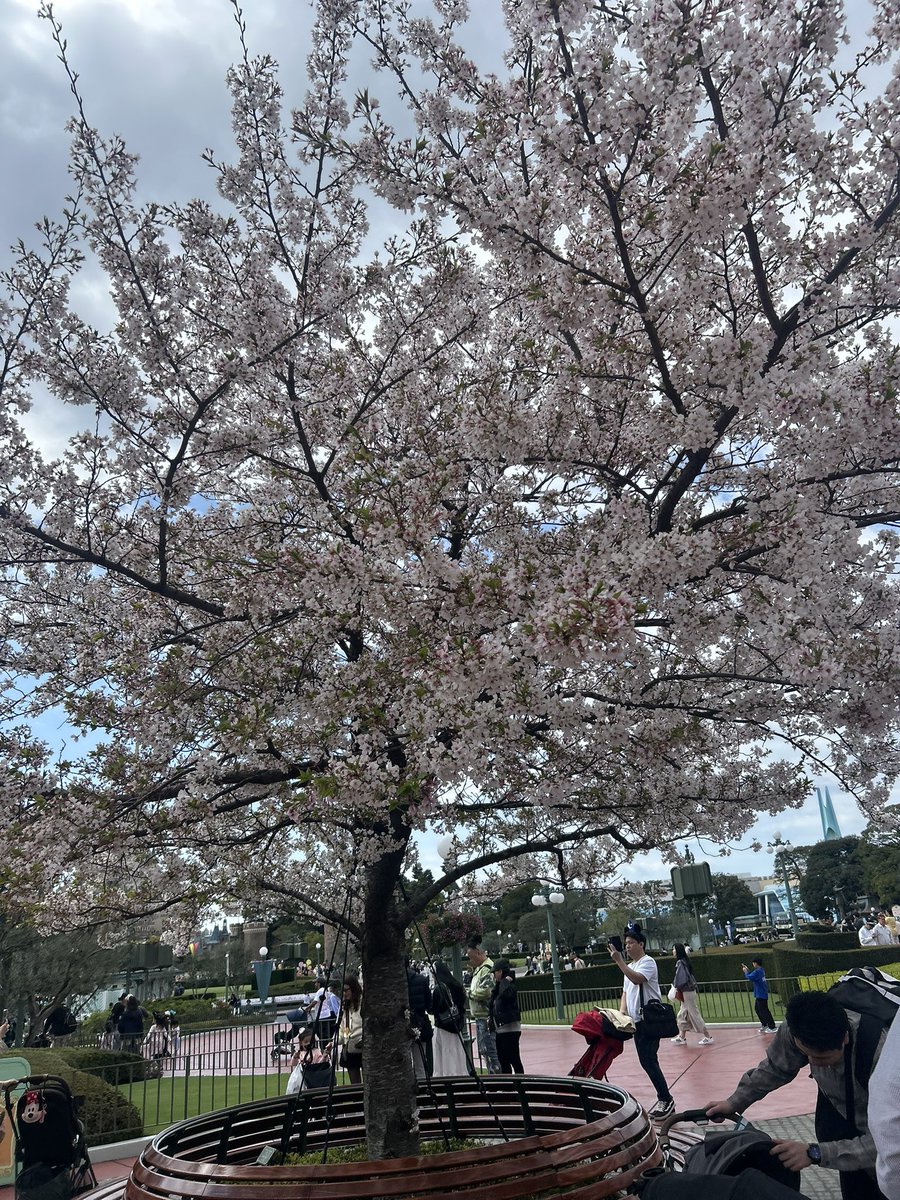 えむ𝓜 tweet media