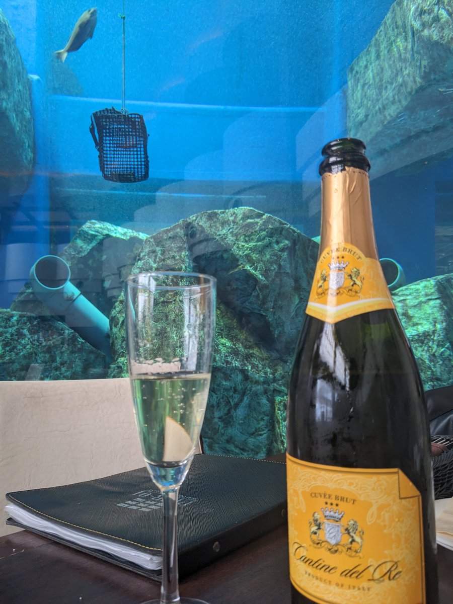 J_DANIELS_WRLD／ダニエル tweet media