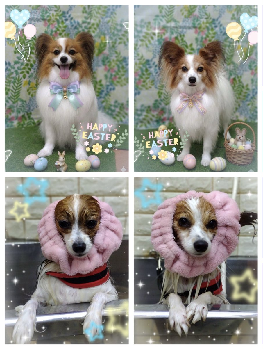 ♡yuko♡ tweet media