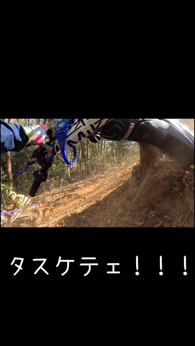 柳本曙光🎤やなぎもとひかる tweet media