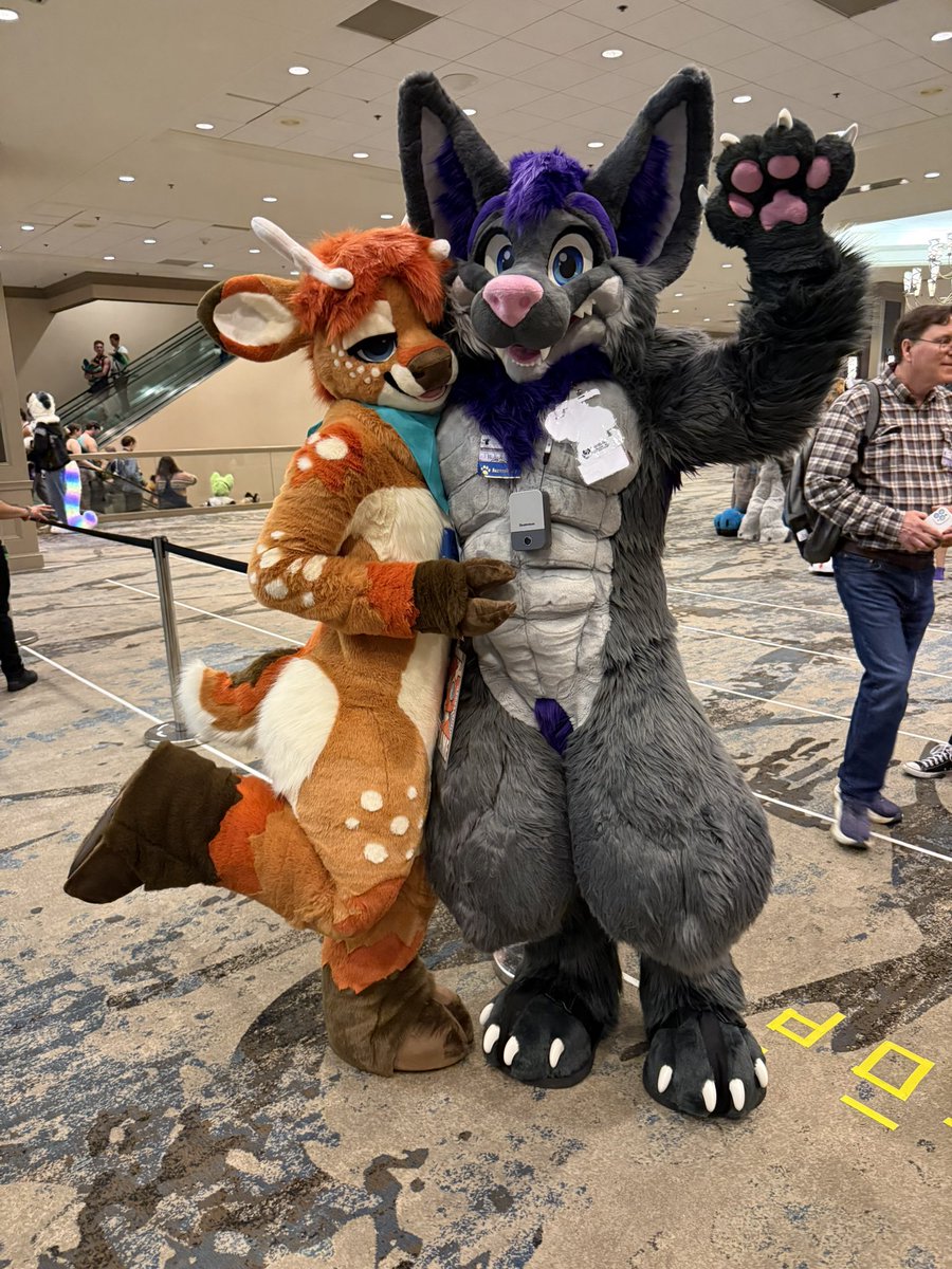 Hugz_N_Snugz's tweet photo. The goats at #TFF2026 are free. You can just take them home.

Tag anyone else whom I missed!

🐺: @MoreFurLess 
📸: @Dynamo93562377 https://t.co/GDeszkRHs6