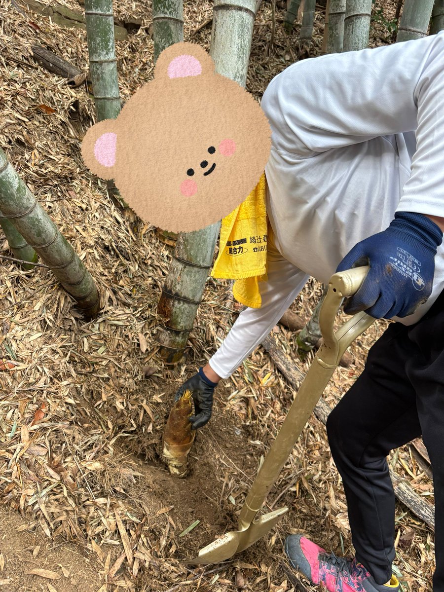 sp_ay0's tweet photo. たけのこ狩り〜✨✨

たのし〜♪ https://t.co/bIWgYzaTEX