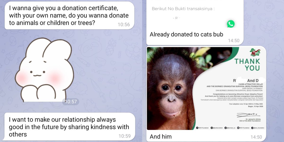 Woodsy Corner. tweet media