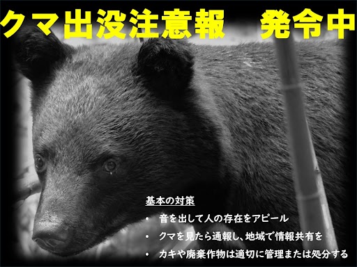 秋田県庁 tweet media