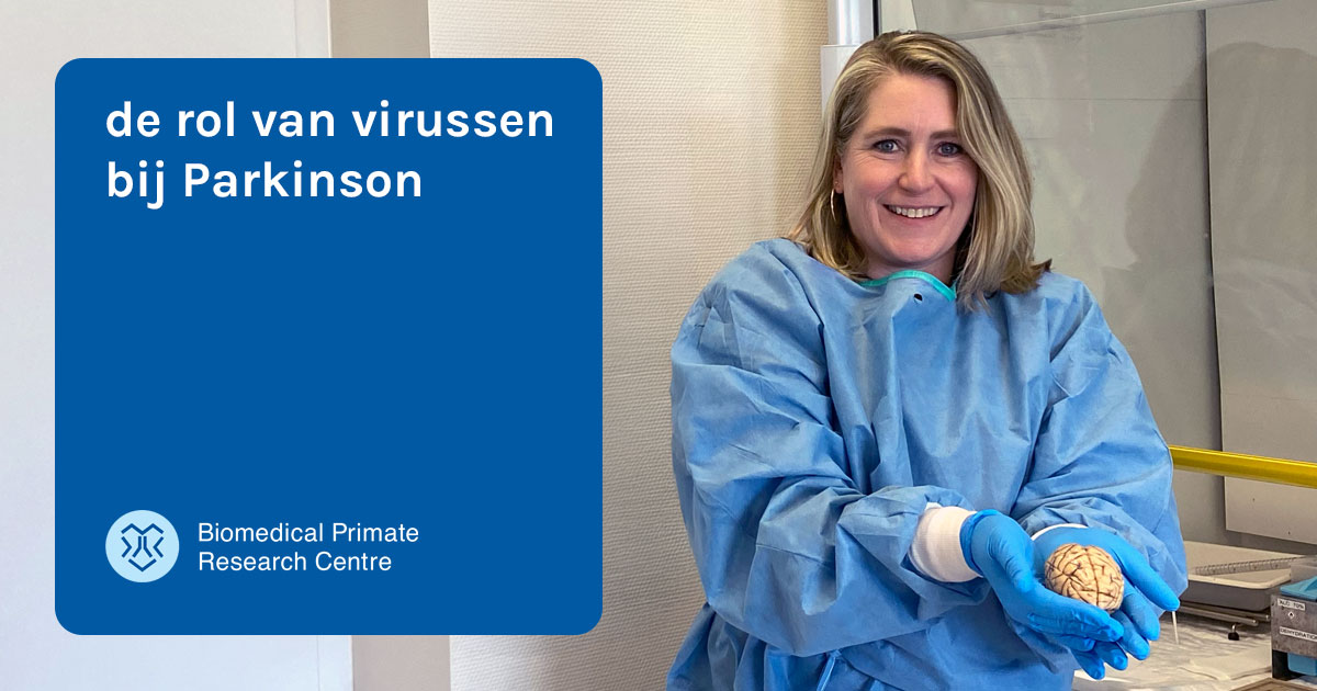 Biomedical Primate Research Centre tweet media